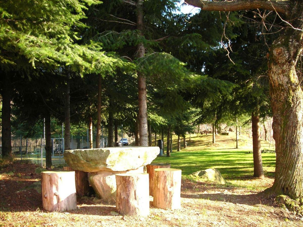 Camping Grondola - Federicofarm Pontremoli Quarto foto